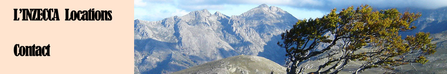 Le plateau du Cuscionu
